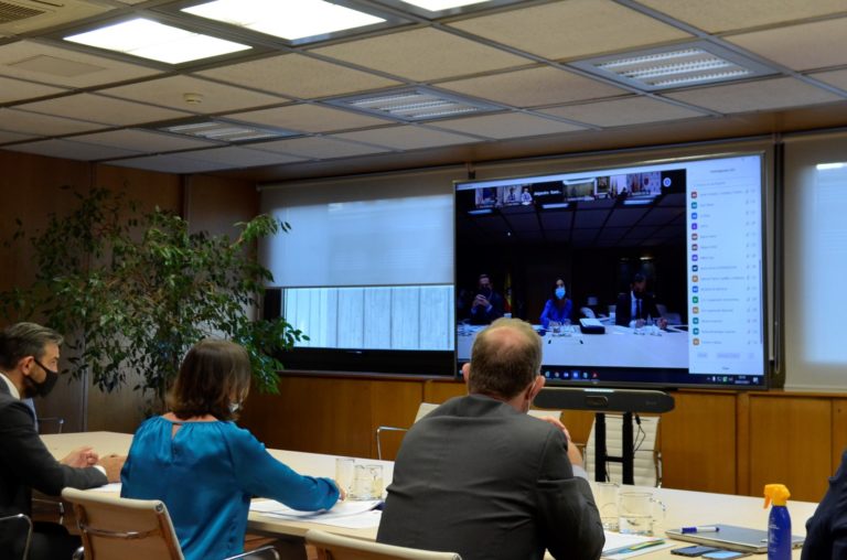 Foto Conferencia Sectorial de Turismo, con la ministra Reyes Maroto en el centro y mirando a la pantalla.